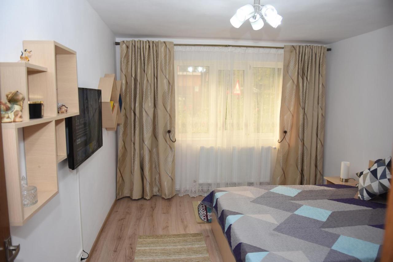 1St Apartment Nehoiu Ngoại thất bức ảnh