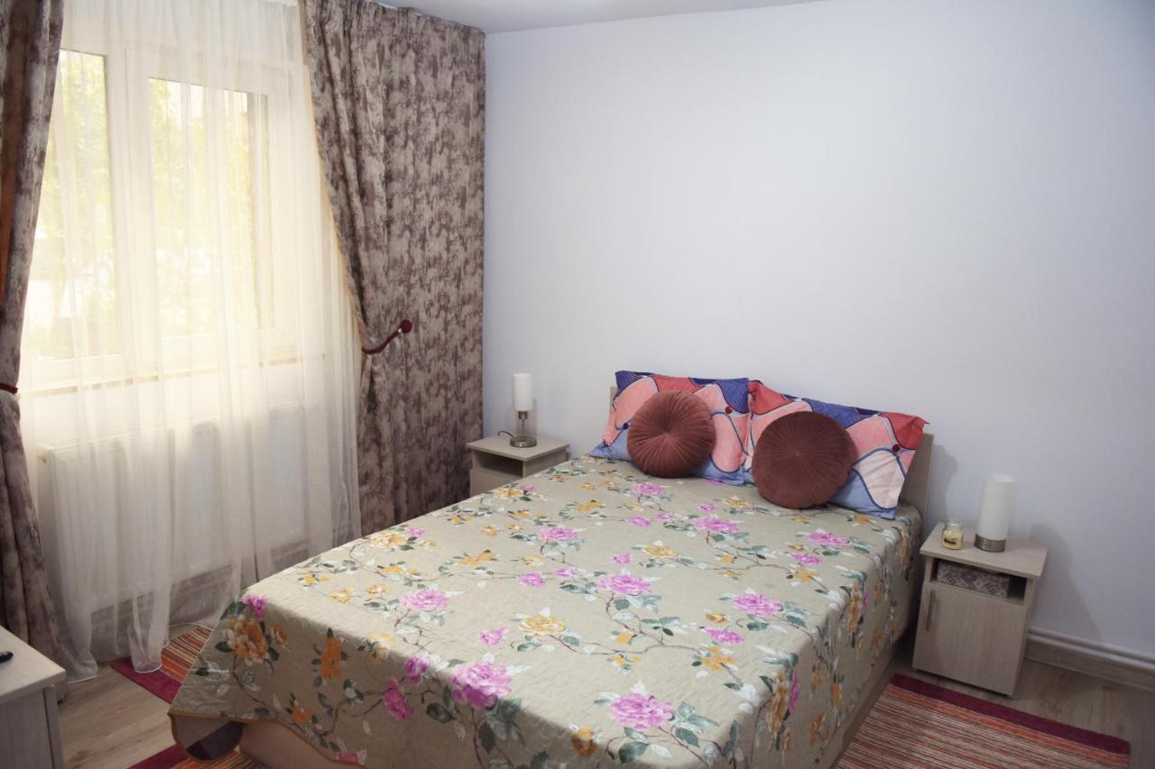 1St Apartment Nehoiu Ngoại thất bức ảnh