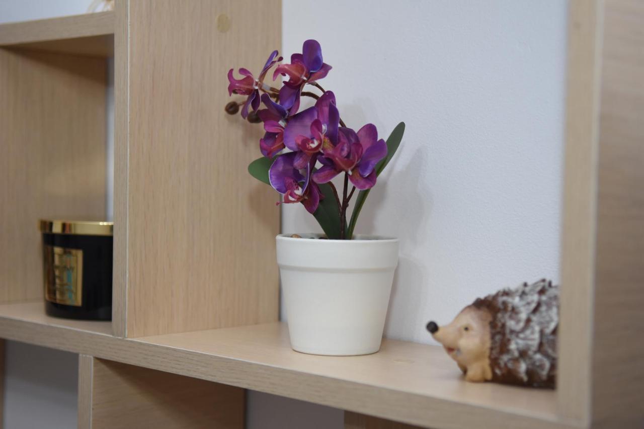 1St Apartment Nehoiu Ngoại thất bức ảnh