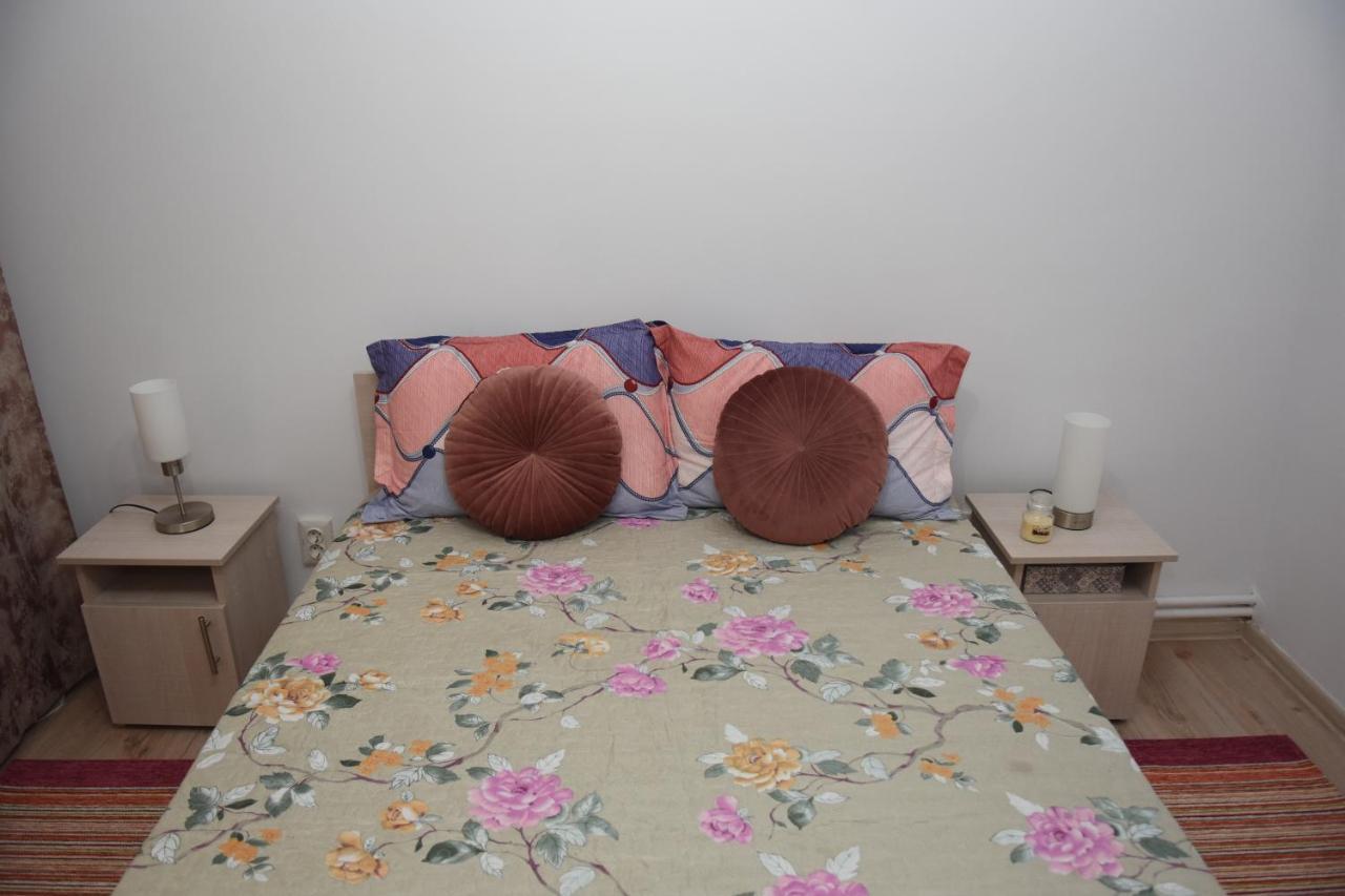 1St Apartment Nehoiu Ngoại thất bức ảnh